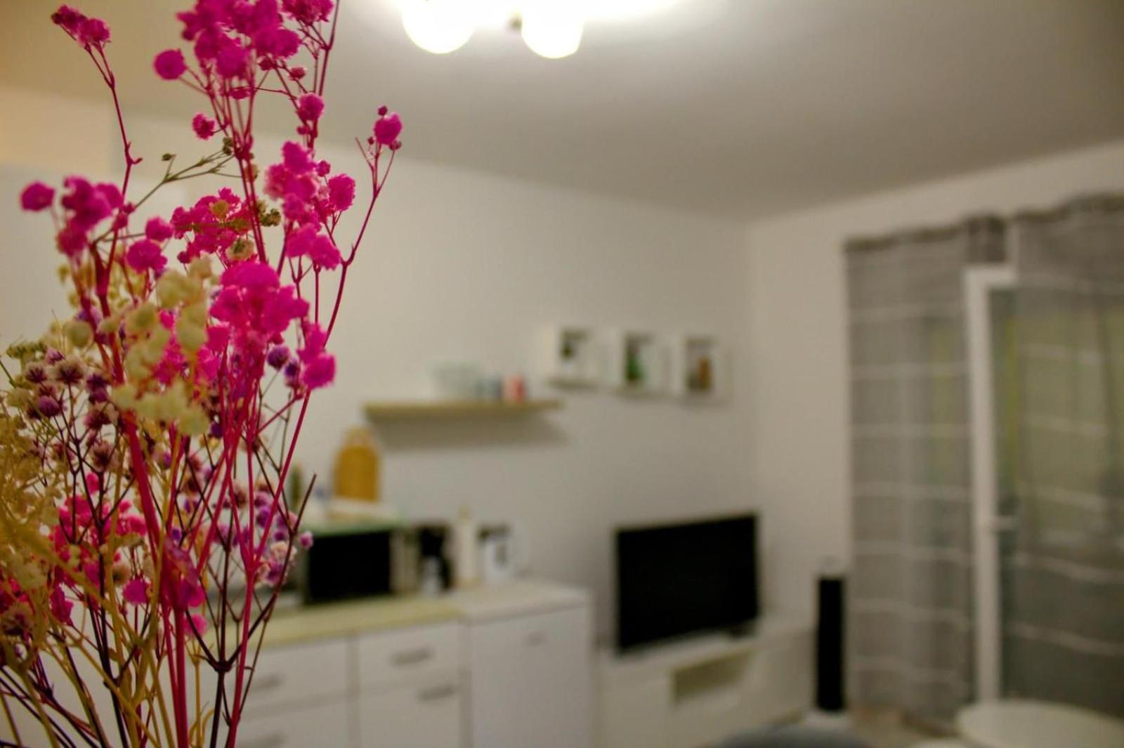 Apartment Danijela Zadar Exteriér fotografie